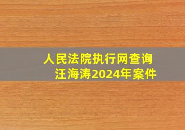 人民法院执行网查询汪海涛2024年案件