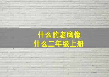 什么的老鹰像什么二年级上册