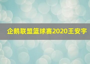 企鹅联盟篮球赛2020王安宇