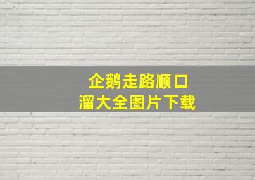 企鹅走路顺口溜大全图片下载