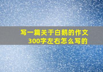 写一篇关于白鹅的作文300字左右怎么写的