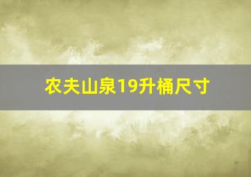 农夫山泉19升桶尺寸