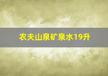 农夫山泉矿泉水19升