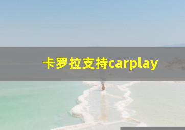 卡罗拉支持carplay