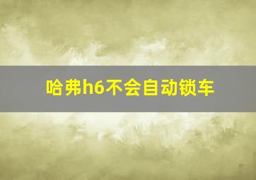 哈弗h6不会自动锁车