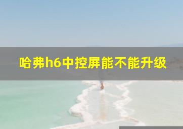 哈弗h6中控屏能不能升级