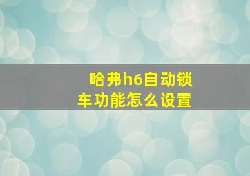 哈弗h6自动锁车功能怎么设置