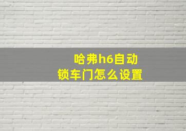 哈弗h6自动锁车门怎么设置