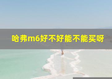 哈弗m6好不好能不能买呀