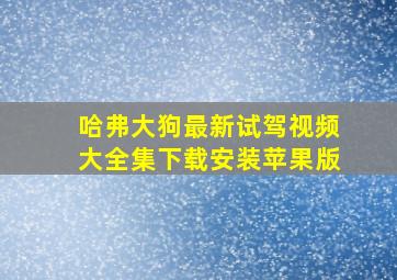 哈弗大狗最新试驾视频大全集下载安装苹果版