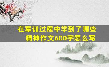 在军训过程中学到了哪些精神作文600字怎么写