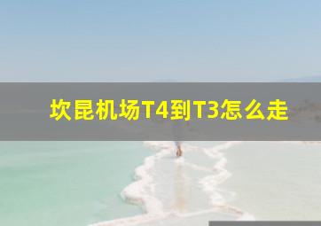 坎昆机场T4到T3怎么走