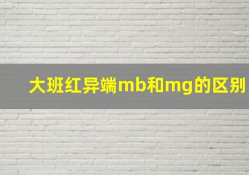 大班红异端mb和mg的区别