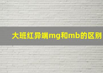 大班红异端mg和mb的区别