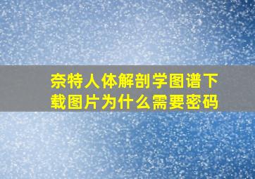 奈特人体解剖学图谱下载图片为什么需要密码