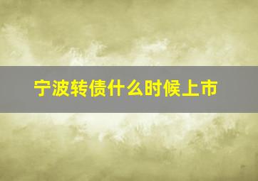 宁波转债什么时候上市