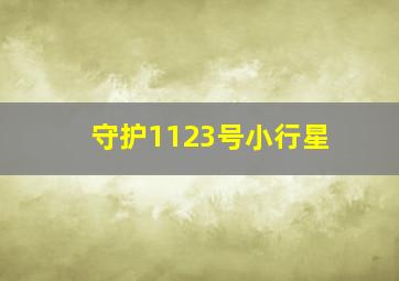 守护1123号小行星