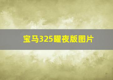 宝马325曜夜版图片