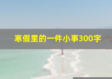 寒假里的一件小事300字