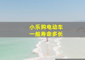 小乐购电动车一般寿命多长