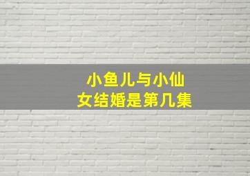 小鱼儿与小仙女结婚是第几集