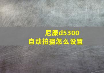 尼康d5300自动拍摄怎么设置