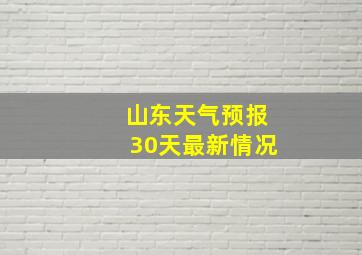 山东天气预报30天最新情况