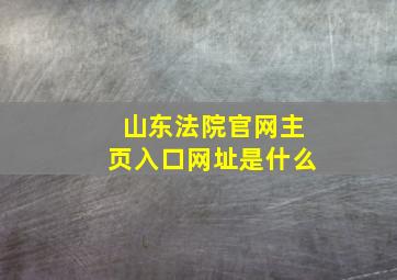 山东法院官网主页入口网址是什么