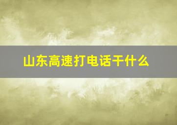 山东高速打电话干什么