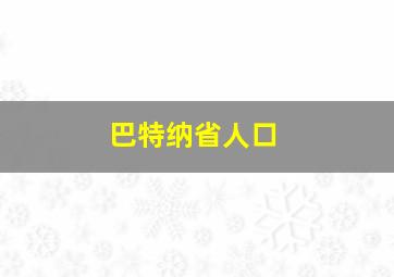 巴特纳省人口