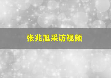 张兆旭采访视频