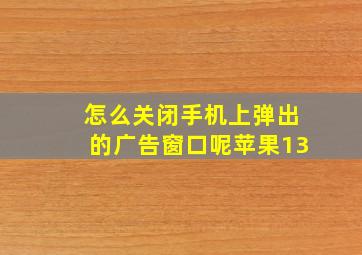 怎么关闭手机上弹出的广告窗口呢苹果13