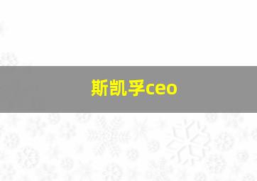 斯凯孚ceo