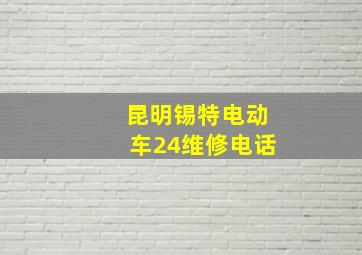 昆明锡特电动车24维修电话