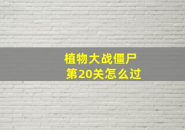 植物大战僵尸第20关怎么过