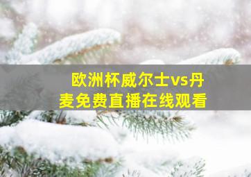 欧洲杯威尔士vs丹麦免费直播在线观看