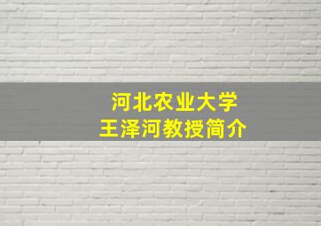 河北农业大学王泽河教授简介