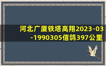 河北广厦铁塔高翔2023-03-1990305信鸽397公里