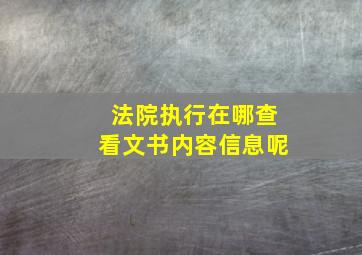 法院执行在哪查看文书内容信息呢