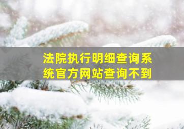 法院执行明细查询系统官方网站查询不到