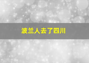 波兰人去了四川