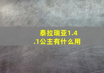 泰拉瑞亚1.4.1公主有什么用