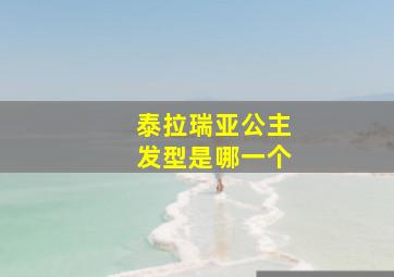 泰拉瑞亚公主发型是哪一个