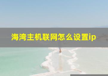 海湾主机联网怎么设置ip