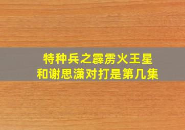 特种兵之霹雳火王星和谢思潇对打是第几集