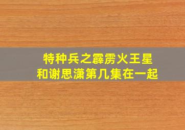 特种兵之霹雳火王星和谢思潇第几集在一起