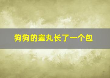 狗狗的睾丸长了一个包