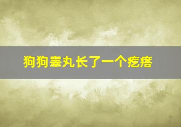 狗狗睾丸长了一个疙瘩