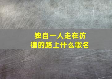 独自一人走在彷徨的路上什么歌名