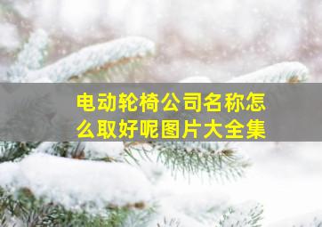 电动轮椅公司名称怎么取好呢图片大全集